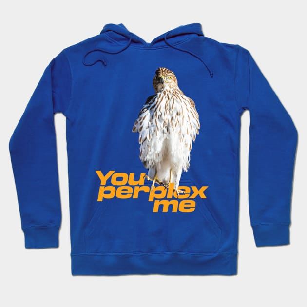 You perplex me Hoodie by Ripples of Time